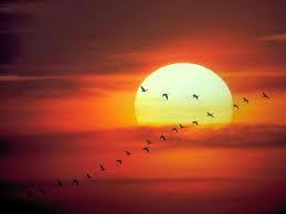 Ocaso - EcuRed