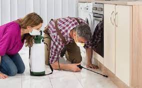 istanbul bocek ilaclama sirketi diy pest control pest control pest solutions