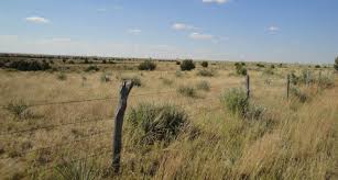 Near Perryton High Plains Drifter Texas Panhandle Wonders Of The World