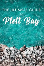 Things To Do In Plettenberg Bay No Hurry To Get Home Africa Travel South Africa Travel Africa Itinerary