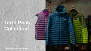 Terra Peak