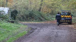 Femme Tuee Dans L Aisne Aucun Des Chiens De Chasse Implique Selon La Societe De Venerie L Express