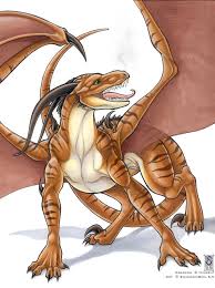 images?q=tbn:ANd9GcQyl17ir76L7TOzoRveG7i4mUkiiBR5L4o7ZWW8Q8lAuvSzOsvy4Q