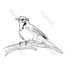 Diharapkan gambar animasi bisa menghibur anda semua. Garisan Haiwan Burung Pipit Elemen Grafik Psd Percuma Muat Turun Pikbest