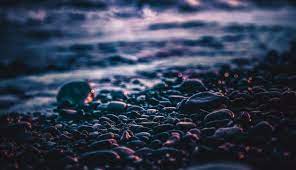 We did not find results for: Facebook