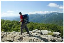 Living with Nature at Wintergreen- June 20, 2026