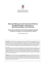 Relevant Molecular and Functional G-Protein Coupled Receptor Interactions  in Neuroinflammation and Addiction