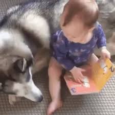 Hey Hey Hey Wake Up Look It S You Cute Pet Animal Animal Cute Hey Pet Wak Cok Sirin Hayvanlar Sevimli Hayvan Yavrulari Komik Hayvanlar