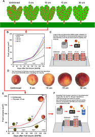How does it relate to the prevention of communicable diseases, e.g. Early Metabolic Priming Under Differing Carbon Sufficiency Conditions Influences Peach Fruit Quality Development Biorxiv