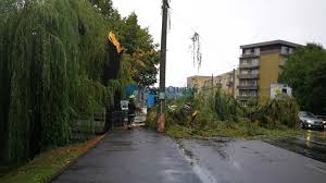 Este dezastru în grigorescu, iar în baciu grindină a căzut în cantități uriașe. Furtuna Cluj Napoca 1 Ziarul Clujean