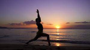 603 Yoga Surya Namaskar Stock Videos, Footage, & 4K Video Clips - Getty  Images