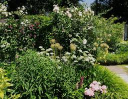 More hybrid cultivars are being produced constantly. Helen Elks Smith On Twitter We Used This Horizontal Trellis To Define A New Kitchen Garden Area And To Support Some Much Loved Roses Clematis Wisteria We Chose A Number Of Different Clematis