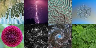 Fractal Geometry