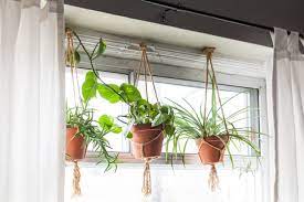 How do you decorate in front of a large window? How To Display Houseplants 98 Of Our Favorite Plant Display Ideas Apartment Therapy