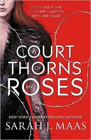 Sarah J Maas A Court Of Mist And Fury Pdf A Court Of Thorns And Roses Amazon Co Uk Sarah J Maas 9781408857861 Books Roses Book Leigh Bardugo A Court Of Mist And Fury