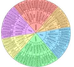 This Wheel Of Emotion Words Could Be A Useful Resource For