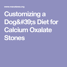 Pin On Dog Recipes Preventing Calcium Oxalate
