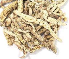 Image result for Cynanchum