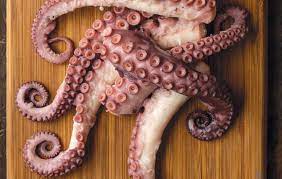 Octopus Patties Edible Alaska