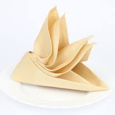 Simply lay a square napkin. Howto How To Fold Napkins For Formal Dinner