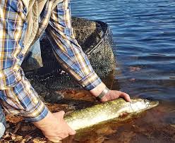 Check spelling or type a new query. Neue Berliner Landesfischereiverordnung Viele Neue Verbote Und Einschrankungen