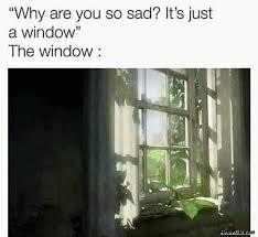 A way of describing cultural information being shared. Why Are You So Sad Its Just A Window Meanwhile The Window Meme Memezila Com