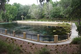 At salt springs park campground, you can hang back and fish in the creek (stocked with trout yearly), or head off to explore hunting land and nearly 13 miles of trails in the surrounding area. American Land Leisure Salt Springs Ocala Florida