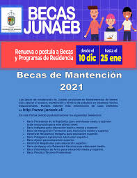 La junta nacional de auxilio escolar y becas (junaeb) informó que este domingo 26 de enero finaliza el proceso de postulación o renovación de los beneficios. Renueva O Postula A Becas Junaeb 2021 Colegio Fernando De Aragon