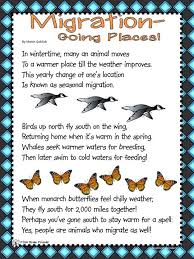 Why Do Birds Fly South For The Winter Riddle Bird Migration Worksheets Google Search Migration Preschool Bird Migration Hibernation Preschool