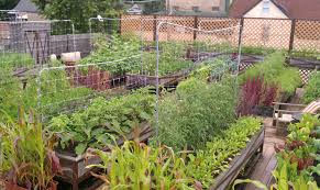 Grant boyle from boyle of fig landscapes shares his top small garden tips: 20 Beautiful And Inspiring Roof Top Garden Designs And Ideas The Self Sufficient Living