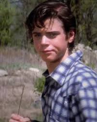 Understanding Ponyboy's Curiosity: Cherry and Sunsets Explained