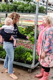 Check spelling or type a new query. How To Start A Garden At Robins Flower Garden Abigail Albers