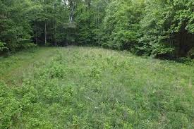 Fundraiser by Drew Brannam : Goshen Valley Campsite Eagle Project