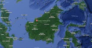 This makes sarawak demography very distinct and unique compared to its peninsular counterpart. Recovering Conservationist Q A With Orangutan Ecologist June Mary Rubis