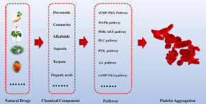 Image result for Drug Induced Platelet Dysfunction
