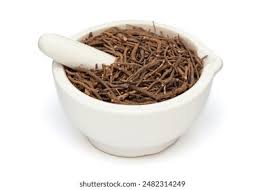 Image result for Rauvolfia nana