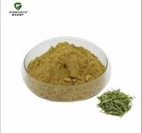 High Quality Green Tea Extract Epigallocatechin Gallate 50% 90% 95% 98%  EGCG/ECG/EGC/EC Powder