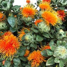 Bess flowers was born on november 23, 1898 in sherman, texas, usa. Pulley Wholesale Florist Home Facebook