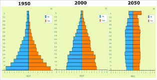 Populationpyramid.net population pyramids of the world from 1950 to 2100. Changes In The Population Pyramid For Fiji From United Nations Download Scientific Diagram