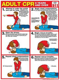 First Aid Charts Kingkraft