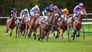 Résultats R3 Bordeaux-Le Bouscat C2 Prix de la Gironde : partants ...