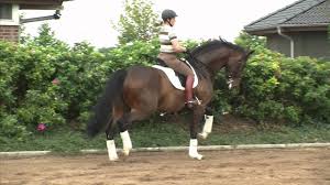 Bates saddle 17 isabelle model. Isabell Werths Nachwuchsstars Laurenti Youtube
