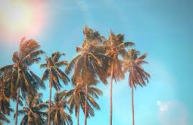 Short summer quotes for instagram. 80 Best Summer Captions For Instagram 2021 The Wanderlust Within