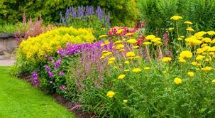 Le choix des plantes pour un parterre est quasi illimité, entre les vivaces, les annuelles, les bulbes les rosiers et parterre de fleurs : 1001 Idees Pour Un Massif De Fleurs Joli Et Resistant Massif Fleurs Parterre De Fleurs Joli Jardin