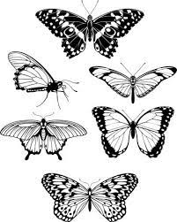 Check spelling or type a new query. Aesthetic Realistic Butterfly Outline Tattoo Novocom Top