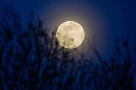 Read on to discover what june's full moon means for your star sign! This Pink Supermoon Has A Twist Expect Flooding But A Lunar Cycle Is Masking Effects Of Sea Level Rise