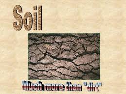 Do you know the difference between soil and dirt? Growing Plants Hydroponically Vs In Soil Ppt Video Online Download