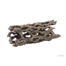 Maybe you would like to learn more about one of these? Exo Terra Cholla Cactus Skeleton Medium Walmart Com Walmart Com