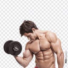 Pin By Png Drive On Body Fittness Gym Png Image Body Builder Workout Bodybuilding