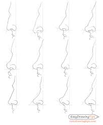 We did not find results for: How To Draw Different Nose Types Easydrawingtips